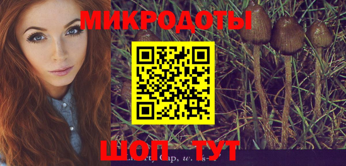 Минусинск  Псилоцибиновые грибы прущие грибы  Вход с VPN  хочу   Псилоцибиновые грибы GOLDEN TEACHER 